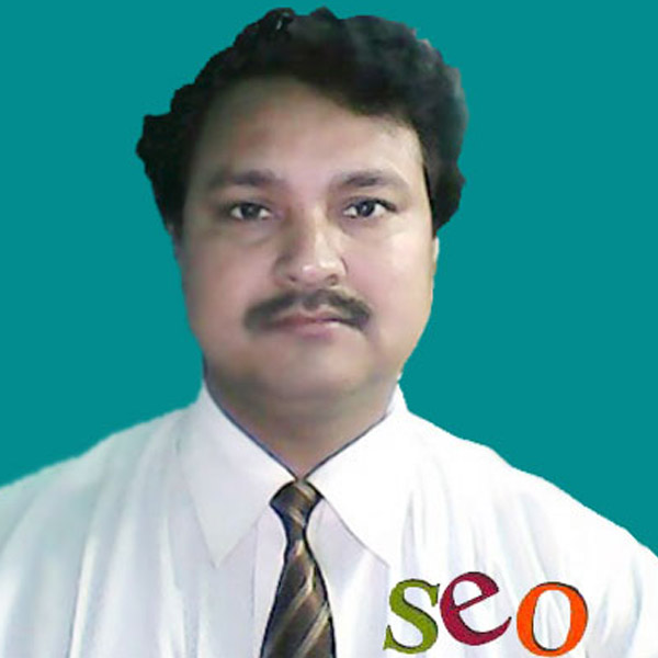 SEO Provider Kolkata